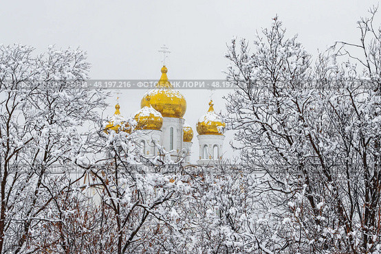 Зимний пейзаж. Вид на заснеженные деревья и собор. Холодная снежная зимняя погода. Снег на деревьях и золотых куполах. Русская православная церковь в Сибири и на Дальнем Востоке России. Свято-Троицкий собор, город Магадан, Магаданская область, Россия. Стоковое фото, фотограф Андрей Степанов / Фотобанк Лори