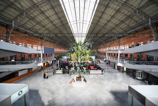 Зимний сад в железнодорожном вокзале Atocha в Мадриде, Испания (2012 год). Редакционное фото, фотограф Losevsky Pavel / Фотобанк Лори