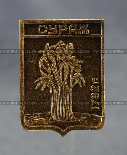 Значок металлический "Сураж" (2024 год). Редакционное фото, фотограф Максим Гулячик / Фотобанк Лори
