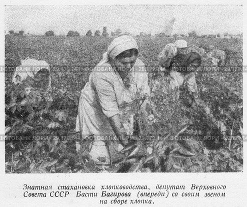 Знатная стахановка хлопководства, депутат Верховного Совета СССР Басти Багирова (впереди) со своим звеном на сборе хлопка. Азербайджанская ССР. Стоковая иллюстрация, иллюстратор Макаров Алексей / Фотобанк Лори