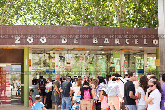 Zoo of Barcelona, Spain (2014 год). Редакционное фото, фотограф Яков Филимонов / Фотобанк Лори